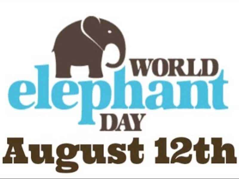 world elephant day