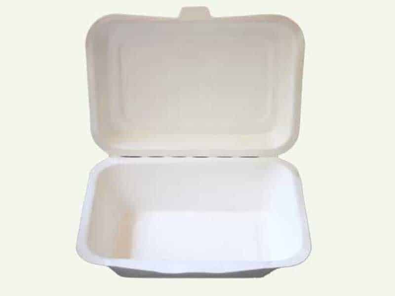 biodegradable lunch boxes
