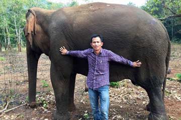 Read more about the article Top Government Vet visits our elephants