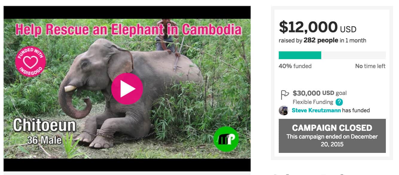 Crowdfunding Campaign to Rescue an Elephant in Cambodia