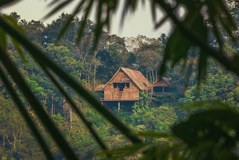 Read more about the article Our Jungle  Lodge